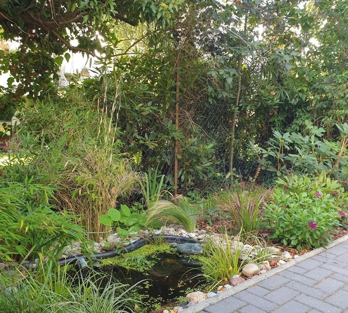 Romantisches 1 Zimmer-Apartment Mit Garten An Der Weser BRE 0*,